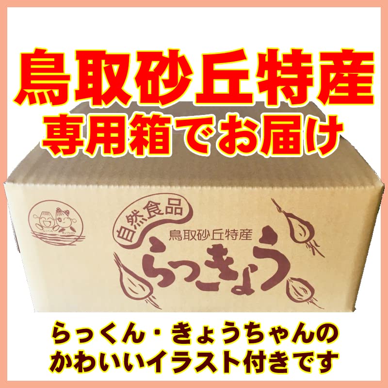 【無農薬】鳥取県産　砂丘らっきょう　ラッキョウ　10kg　L～LL Amazon.co.jp: 鳥取県産 浜田さんの鳥取砂丘らっきょう 10kg（砂付き