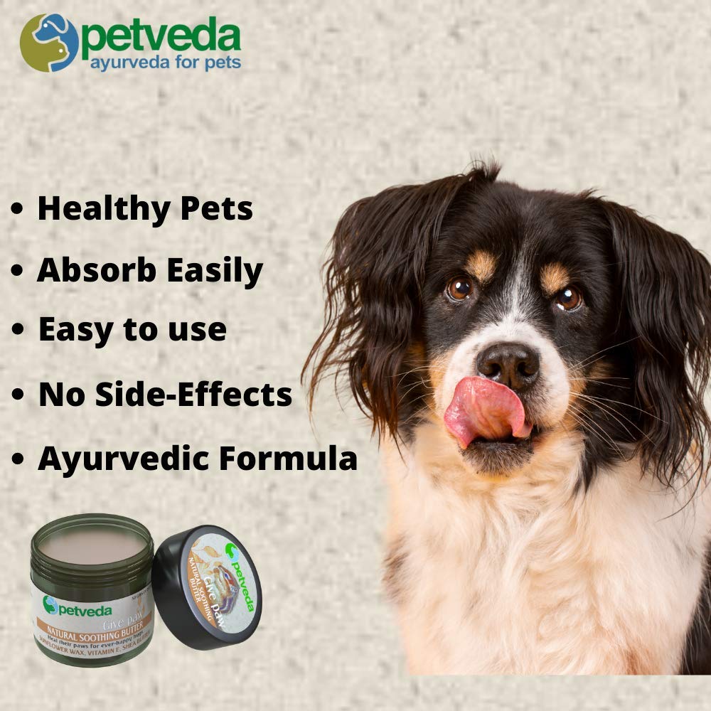 Petveda Moisturizing Paw Butter for Dogs & Cats | Natural Paw Cream with Shea Butter & Coconut Oil | Soothes, Heals & Protects Dry Paws, Node & Rough Elbows - 30gm 2