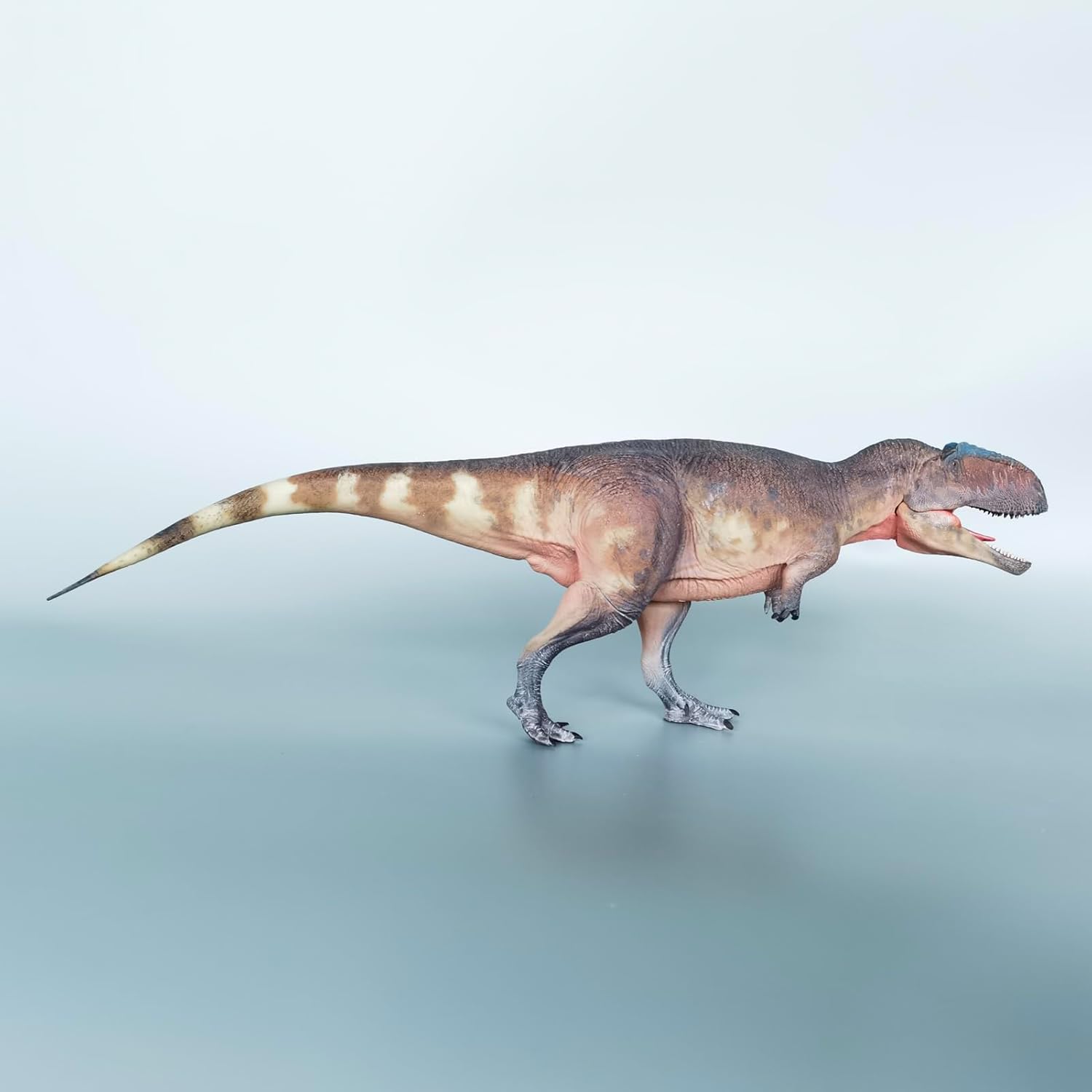 XINPANYIAN Dinosaur Model, Haolonggood Giganotosaurus with Movable Jaw 1:35 Scale, Prehistoric Animal Model (Guan Sheng)