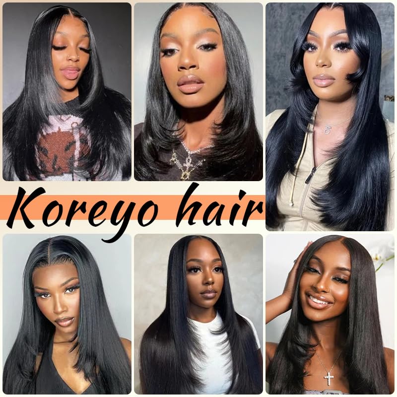 Synthetic Lace Front Wig 5x4x1 Black Layered Wig for Black Women HD Lace Hand Tied Pre Plucked Long Straight Glueless Wigs Suitable For Everyday Wear (Natural Black, 26 Inch)