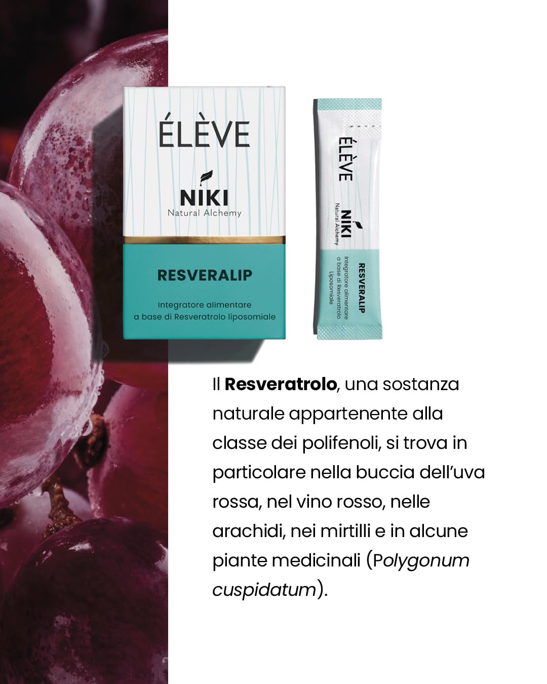 Élève Niki Natural Alchemy Resveralip Resveratrolo Liposomiale, Integratore Alimentare Antiossidante ad Alta Biodisponibilità, Stick Orosolubili Facili da Assumere, Senza Glutine e Lattosio, 30 Stick