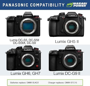 Wasabi Power Battery (2-Pack) and USB-C Dual Battery Charger for Panasonic DMW-BLK22 and Panasonic Lumix G9 II, GH5 II / GH5M2, GH6, GH7, S5, S5 II / S5II / S5M2, S5 IIX / S5IIX / S5M2X, S9