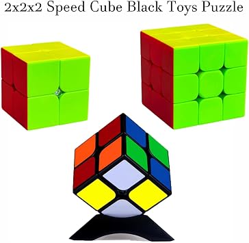 Shengshou 2x2x2 Puzzle Cube, Black