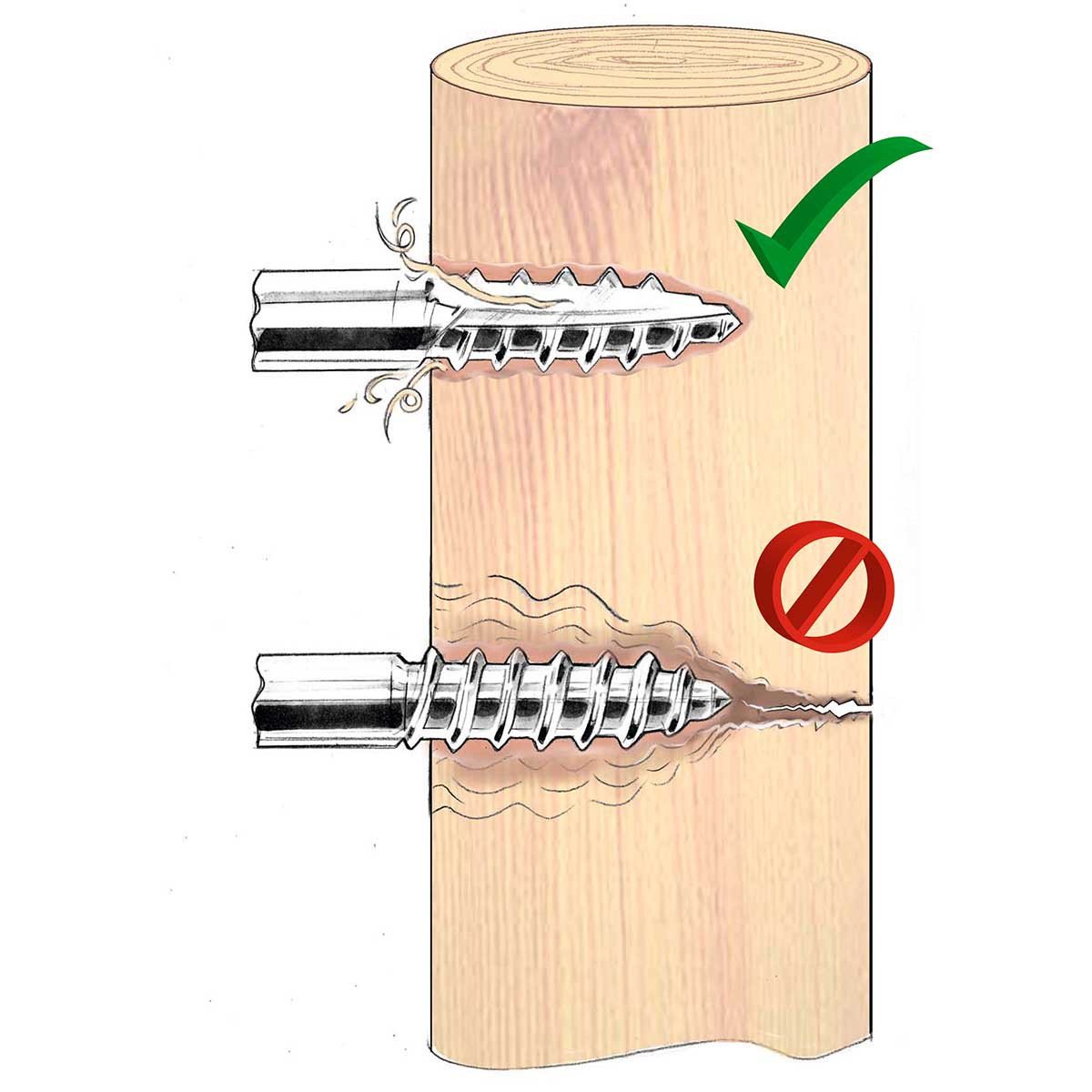 AKO Ringisolator Easy Drill EDX (75 Stück in Eimer, mit durchgehender Stütze ⌀ 6 mm, inkl. Einschrauber, leichtes Eindrehen in Holzzäune, EDX Holzgewinde, Zubehör Tierzäune, Tierzubehör) 443269/753E