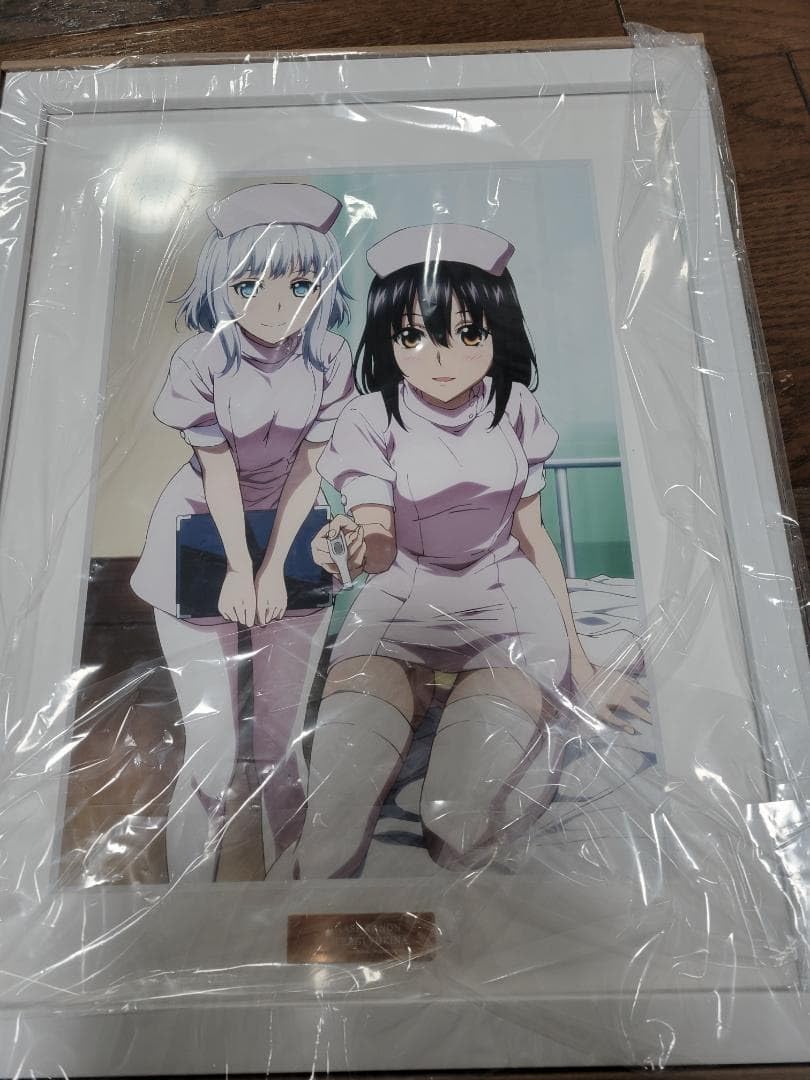ストライク・ザ・ブラッドFINAL 叶瀬夏音&姫柊雪菜 キャラファイングラフ ストライク・ザ・ブラッドFINAL 叶瀬夏音＆姫柊雪菜 キャラファイン