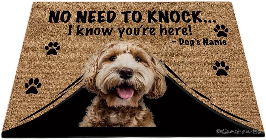 Personalized Door Mat with Funny Dog Labradoodle Welcome Floor Mat No Need to Knock I Know You're Here Gift for Dog Lover 23.6" X 15.7", Style 1