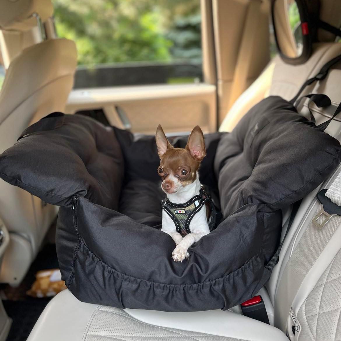 Travel in Style: JACKO & CO Premium Dog Car Seat Review for Your Small Pets