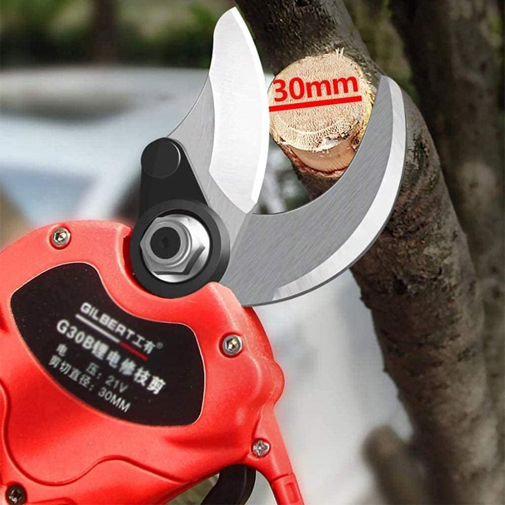 Electric Pruning Shears, Professional Cordless Garden Trimmer Secateurs, 30mm Cutting Diameter 21V 2000 Mah Battery, 4-5 Working Hours ()