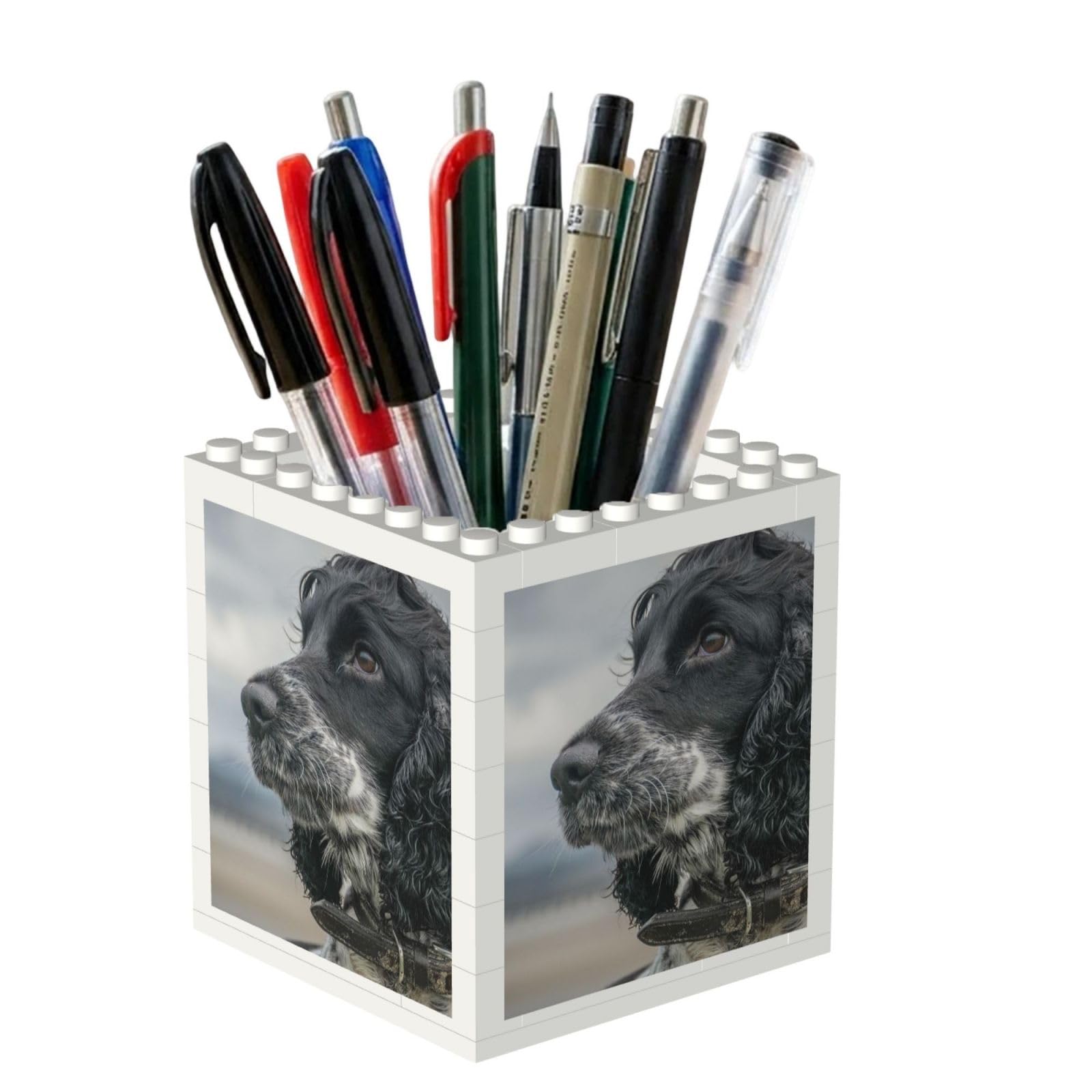 Poadnly English Cocker Spaniel Large Curly Ears Black, Pen Pot Pencil Holder for Office Home School, Compact Desk Organiser for Office Stationery