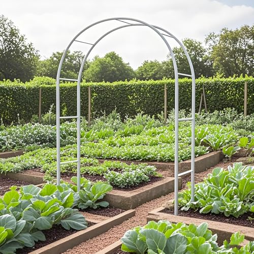 Arche pour plantes grimpantes et rosiers tuteur de cour en métal