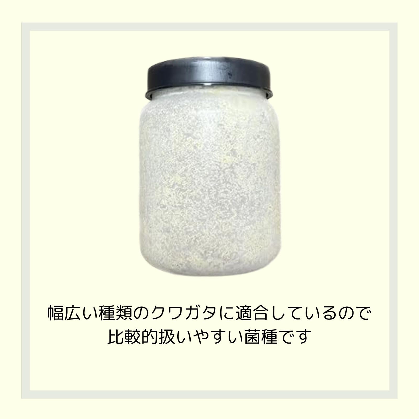 鈴*斗様 菌糸ボトル800cc.1400c 鈴*斗様 菌糸ボトル800cc.1400c