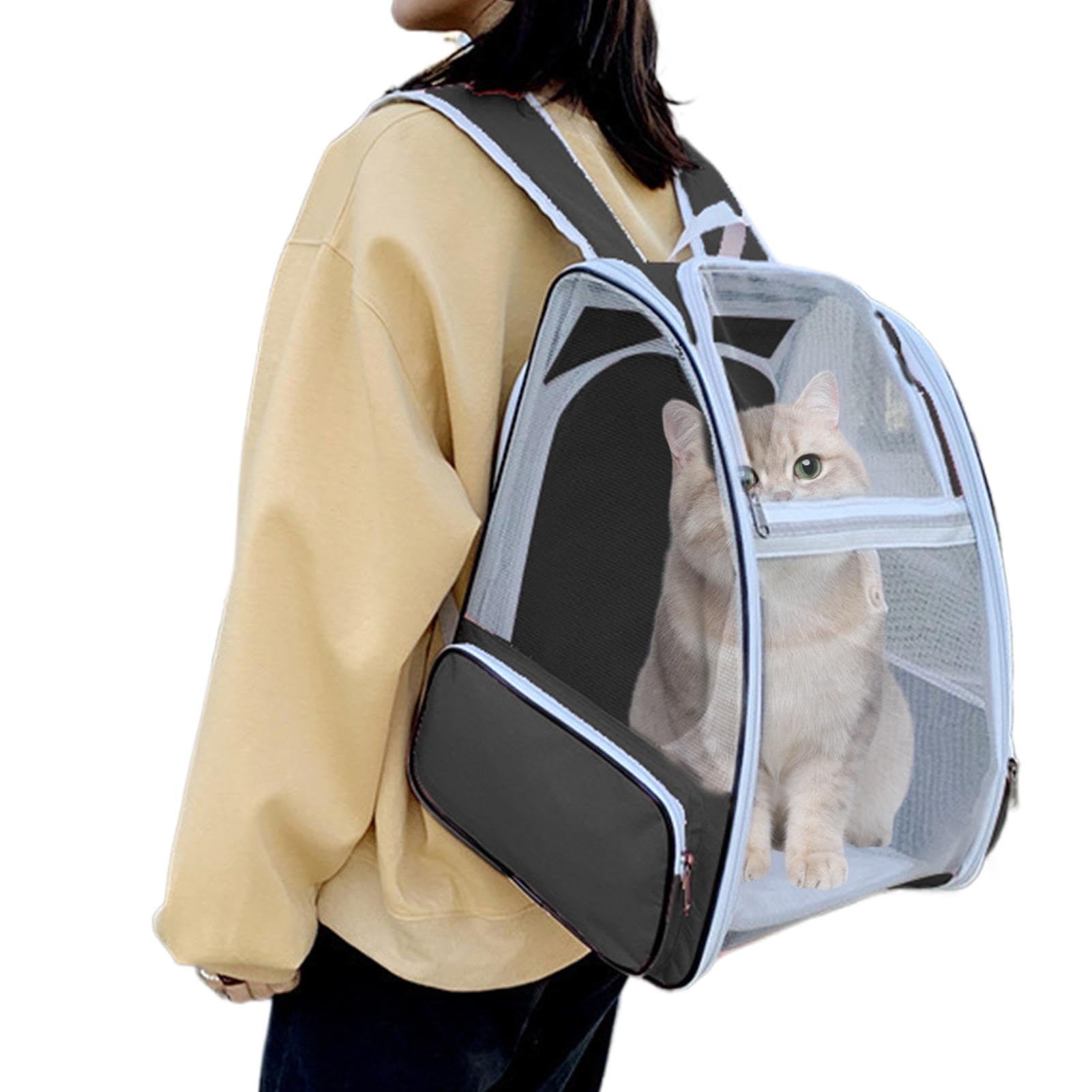 Mochila portátil para cachorros ideal para explorar la ciudad y viajar con tu perro
