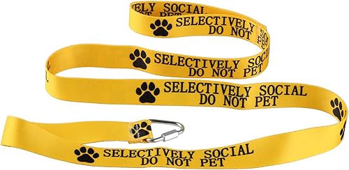 Divertida correa para perro selectivamente social, no mascotas, correa para perros para caminar, entrenamiento, correas para perros, dueño de