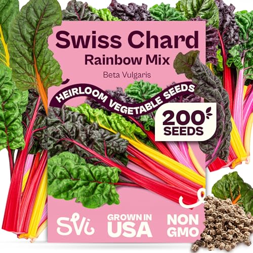 SVI 200 Rainbow Mixture Swiss Chard Seeds (Beta Vulgaris VAR. Cicla) - Five Color Silverbeet Chard Colorful Stems Non GMO Heirloom Seed - Perfect Vegetable Seeds in Seed Packets for Home Garden