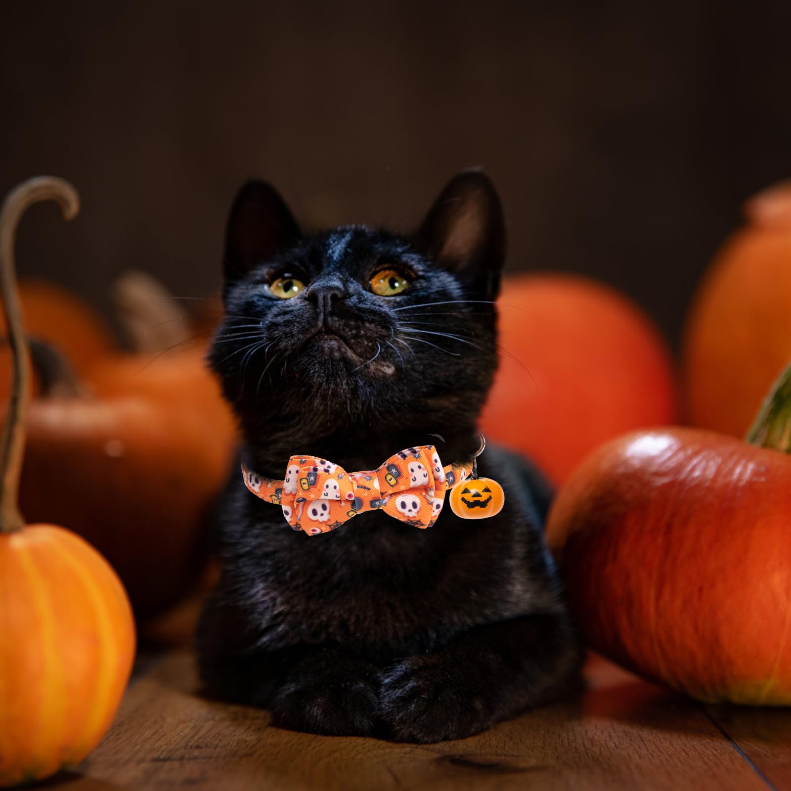 EXPAWLORER Halloween-Katzenhalsband mit abnehmbarer Fliege und Bandana, verstellbares Urlaubs-süßes Breakaway-Katzenhalsband mit Glocke und Kürbislampe, ideales Geschenk für Kätzchen, Katzen, Welpen,