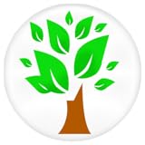 ガーデンデザインのアイデア