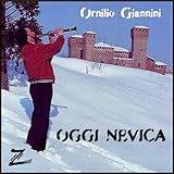  Oggi nevica