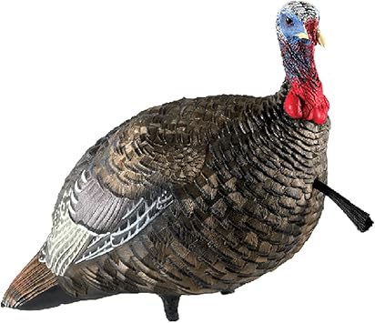 Avian X LCD Quarter Strut Jake Turkey Decoy