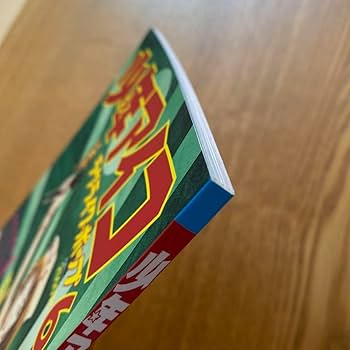 aiko ツアーパンフ aiko official website