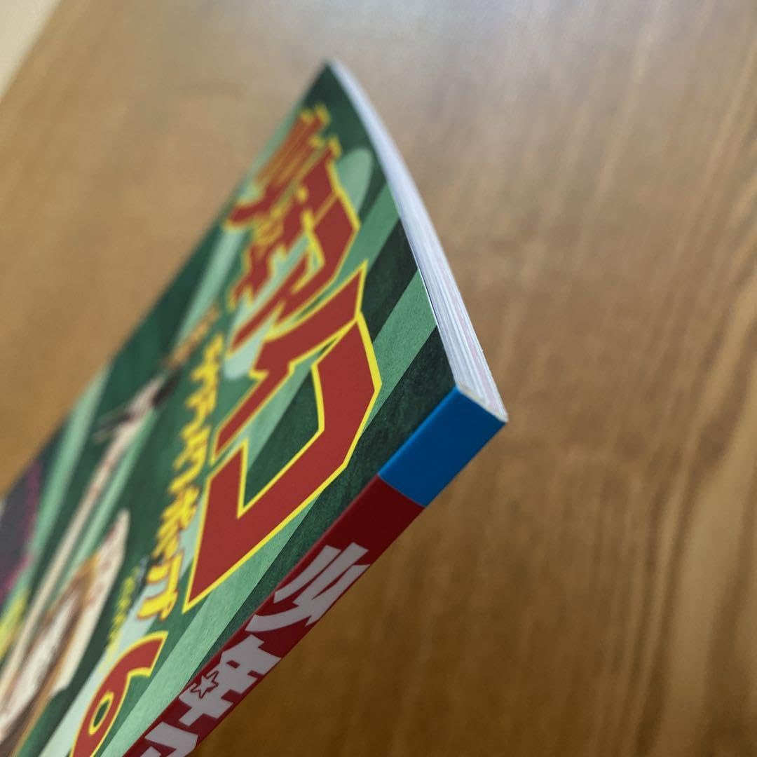 aiko ツアーパンフ aiko official website