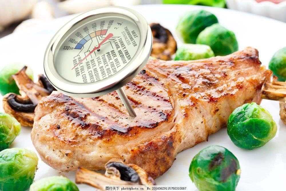 Blacksail Kitchen Analog Meat Thermometer for Grilling Smoking Oven Safe Stainless Steel 2 3/4-Inch Dial (Stainless Steel)