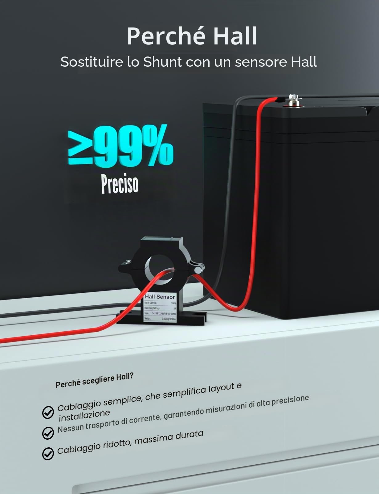 ECO-WORTHY Monitor della batteria 300 A 12V/24V/36V/48V display touchable allarme 9-80V LiFePO4 gel camper impianti solari