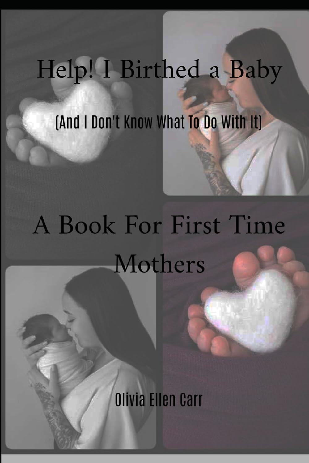 Help! I Birthed A Baby.... And I Don't Know What to do With It?: A Story For First Time Mothers (Oh So You Had A Baby?... What Happens Now?)