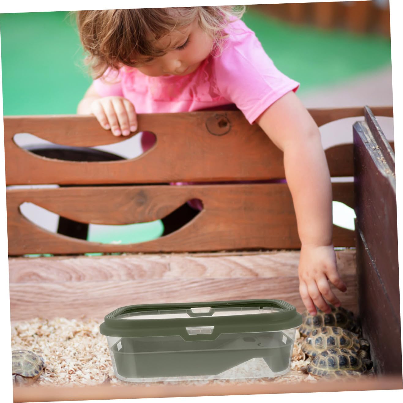 Serbatoio per Tartarughe Grande in Plastica Verde con Terrazza e Rampa, Terrario Creativo per Tartarughe d'Acqua e Rane in Casa