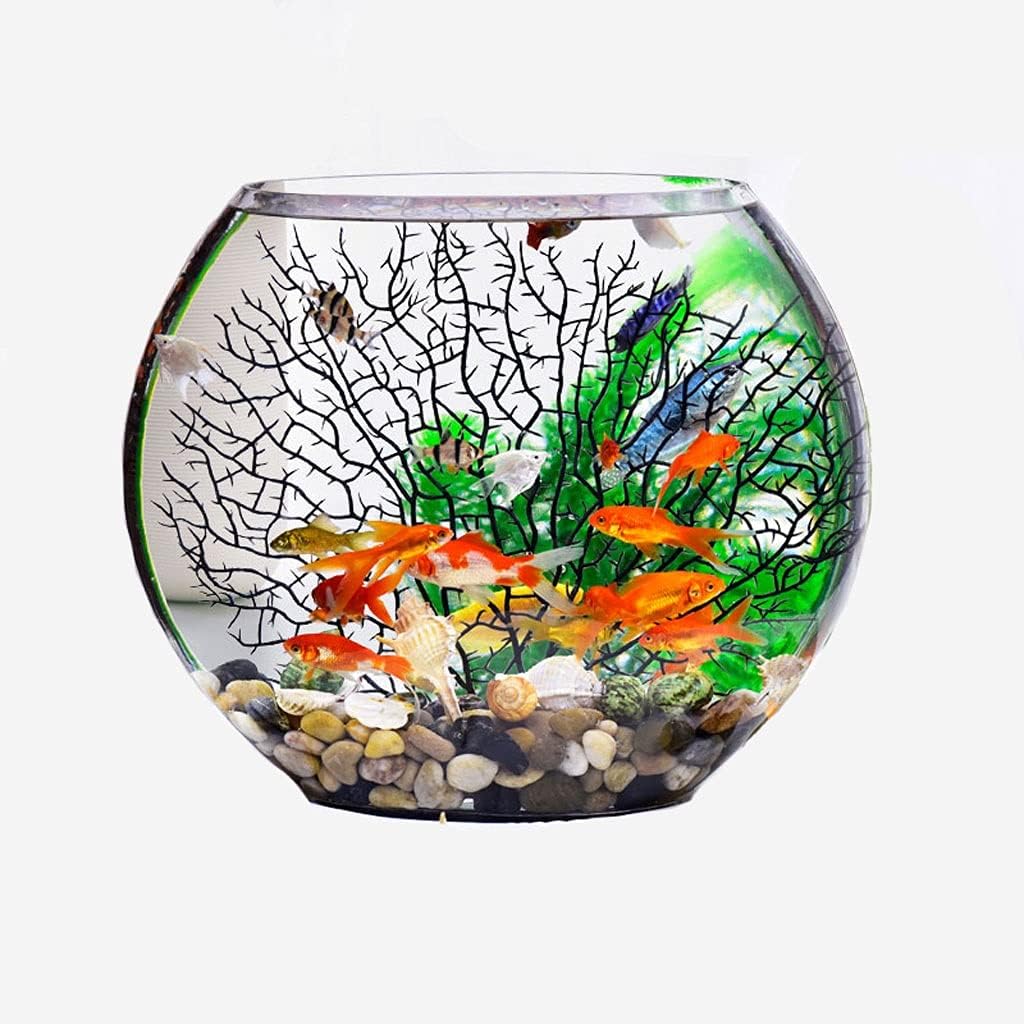 oval fish tank
