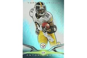 2014 Topps Platinum #39 Antonio Brown Steelers NFL Football Card