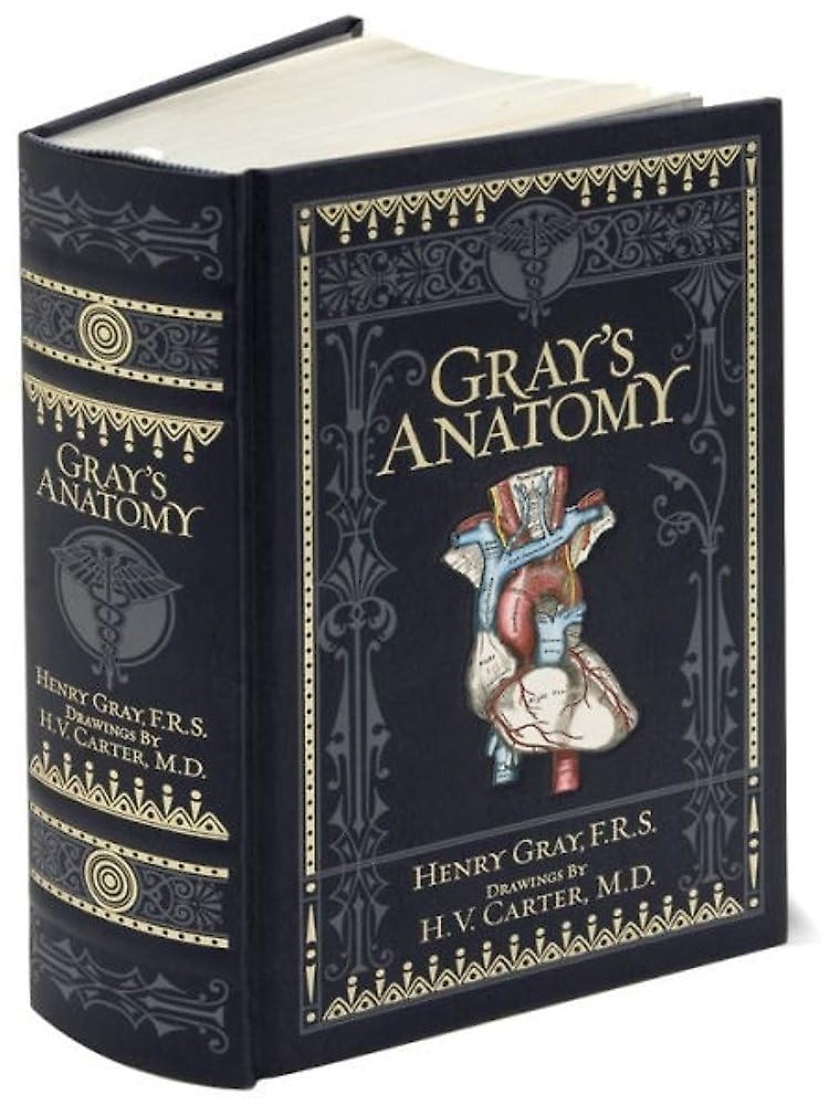 Sterling Publishing Gray's Anatomy (Barnes & Noble Collectible Classics: Omnibus Edition)