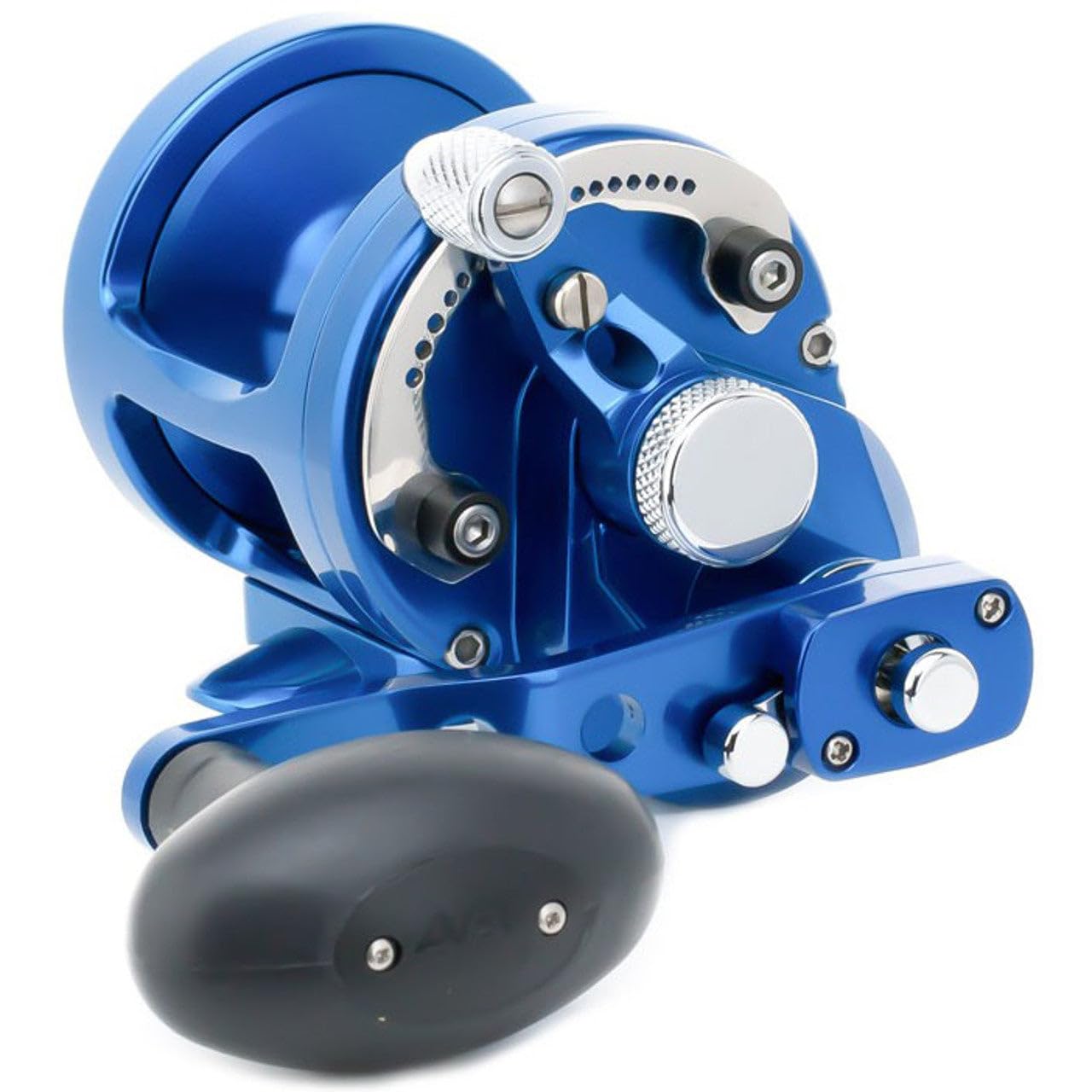 Avet Raptor Dual Drag Reel with Magnetic Cast Iron Control, Blue Sports & Outdoors