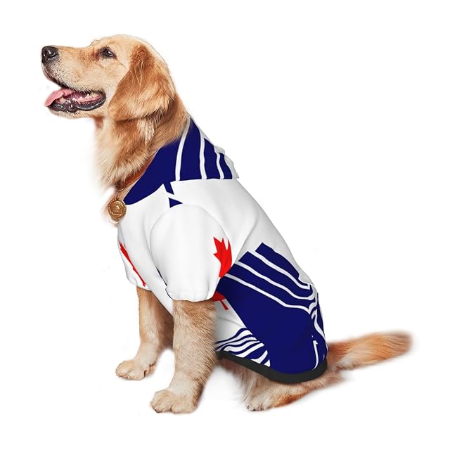 Foto 6 de 8 de Sudadera con capucha para perro The Flag of Scarborough, sudadera con capucha para perros medianos y grandes