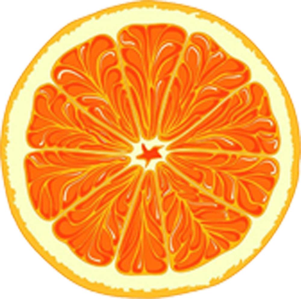 Amazon.com: Pretty Summer Citrus Fruit Slice Cartoon Emoji