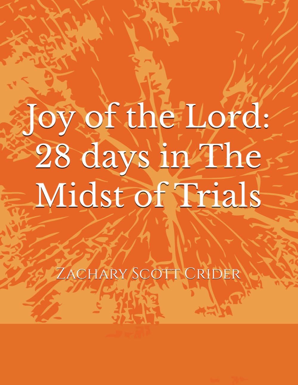 Joy of the Lord: 28 days in The Midst of Trials (365-Day / 12-Month Devotional: Fruit of the Spirit)