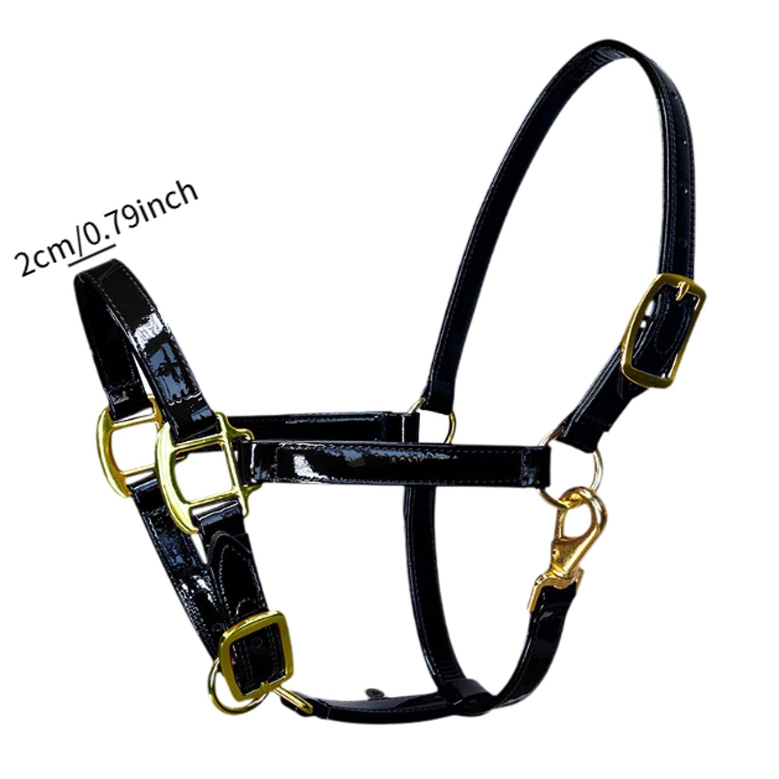 rockible Cabezada Caballo Ligera y Acolchada con Cuerda para Entrenamiento y práctica en competiciones.