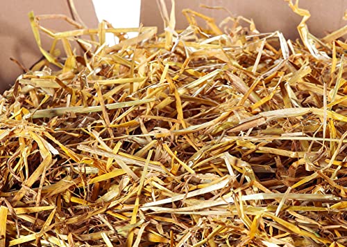 Heu-Tom ® 5kg frisches Gerstenstroh Stroh direkt ab Hof Einstreu Futter Fuer Meerschweinchen Hasen Kaninchen Hamster Pferd