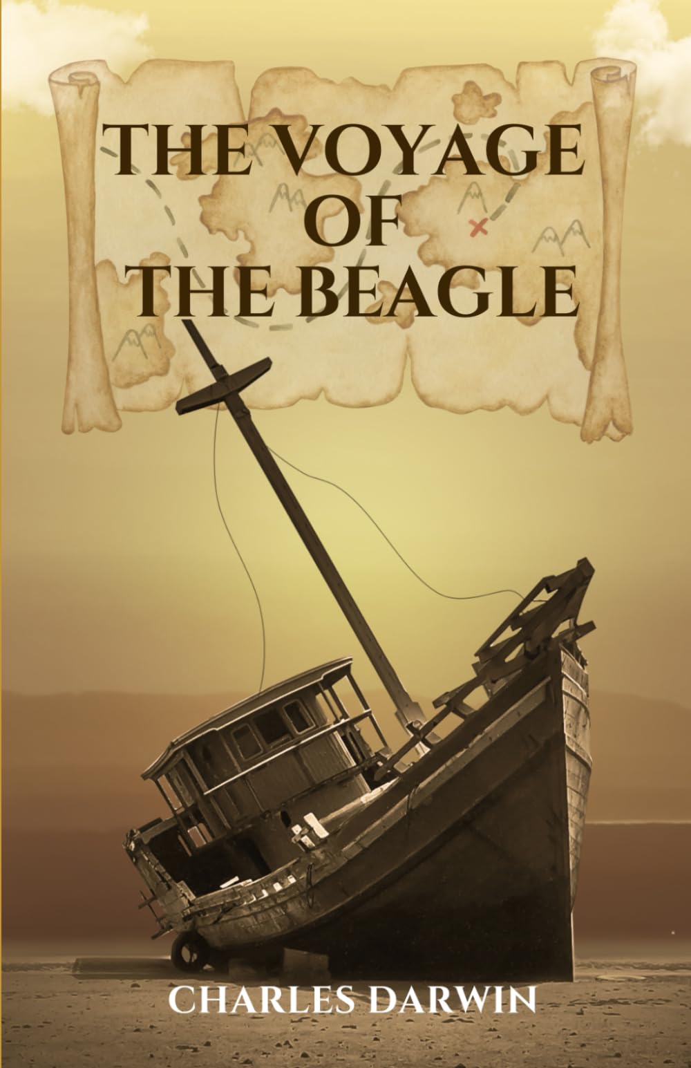 The Voyage Of The Beagle
