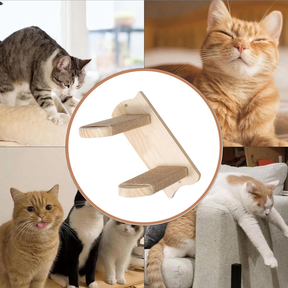 Katzentreppe 2 Stufen, Katzenleiter Mit Juteseil, Katzentreppe Wand, Katzenbretter Für Die Wand, Katzen Treppe, Katzentreppe Kletterwand Katzen Für Katze Klettern Spielen, Natürliche Holzfarbe