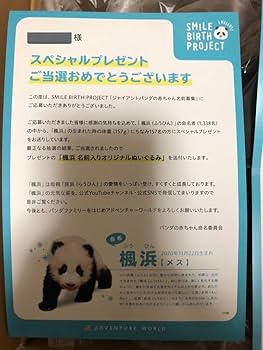 楓浜 名前入りオリジナルぬいぐるみ★パンダ★アドベン★名付け親から抽選157名 Amazon.co.jp: 楓浜 名前入りオリジナルぬいぐるみパンダ