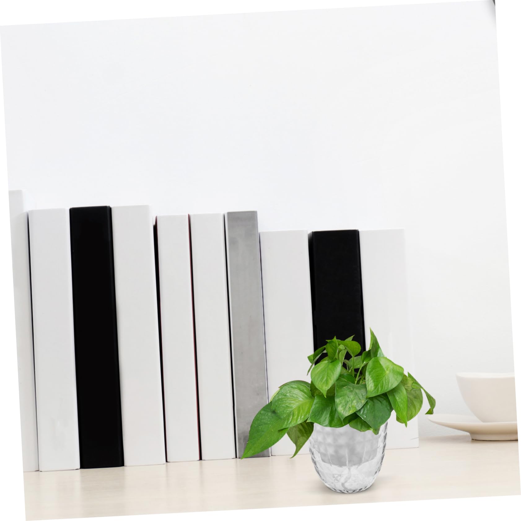 Plateau Auto-Aspirant 3 Pièces Pots Auto-arrosants avec Système Darrosage Automatique pour Plantes Dintérieur Nécessitant Peu Dentretien