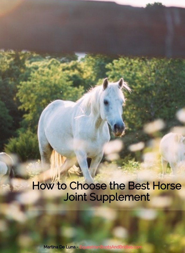 How to Choose the Best Horse Joint Supplement An Equestrian Boots And