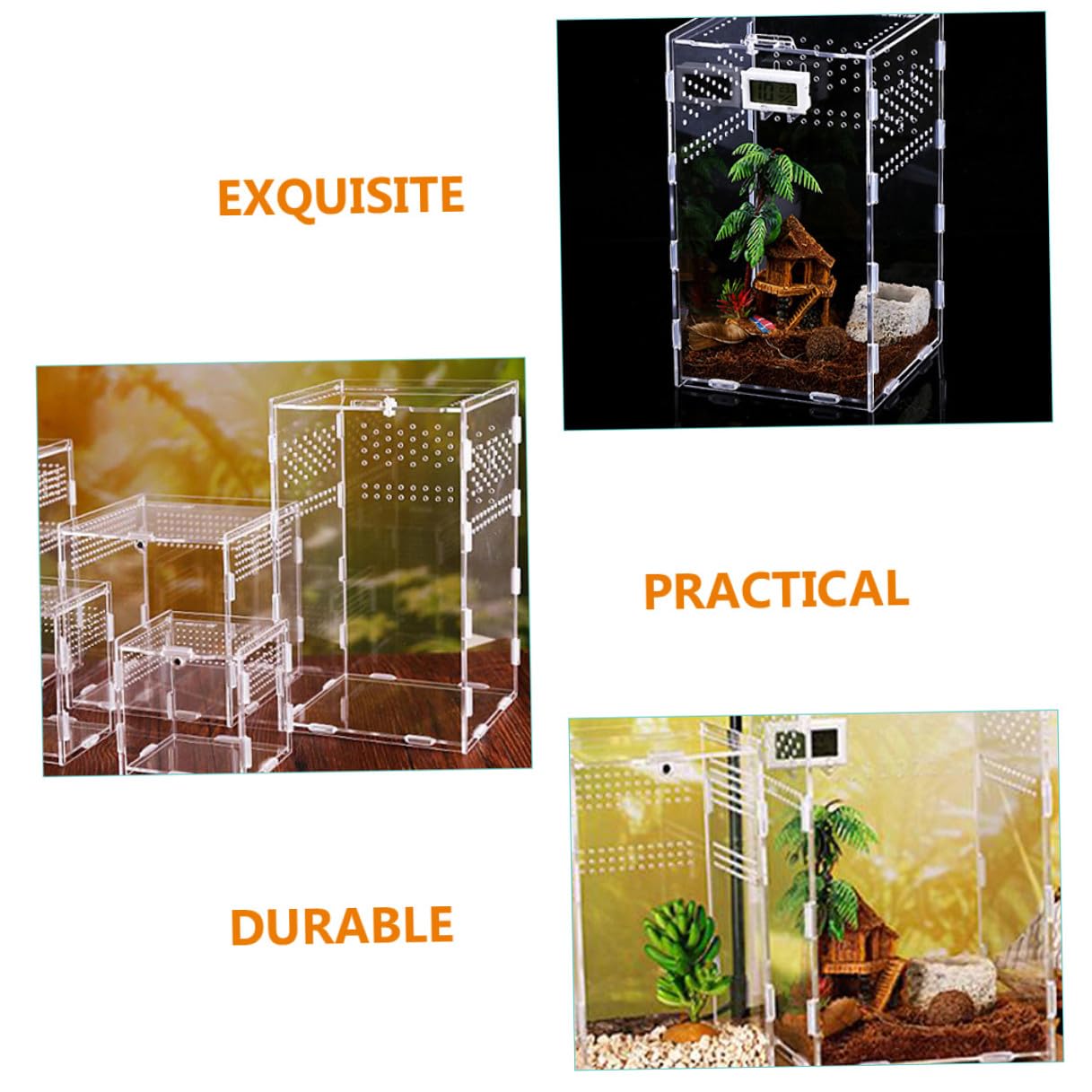 TEHAUX Magnetische Belüftungssystem Konstantem Luftstrom Stabilem und Acryl Terrariumbox mit Transparent Reptilien für Soldatenkrabben und Skorpione