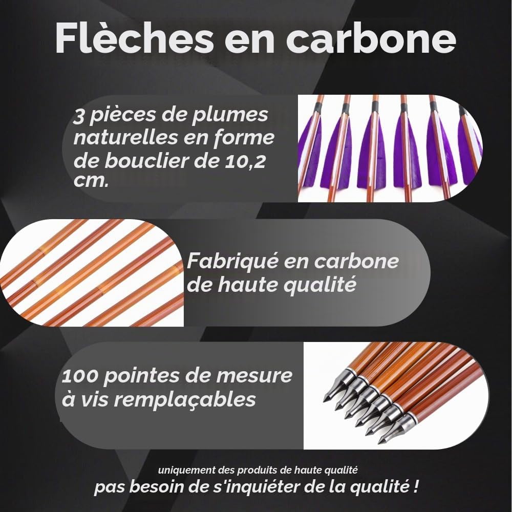 12 flèches en Carbone de 30 Pouces avec Plumes Naturelles de 4 Pouces - universelles pour Les arcs Classiques et composés, parfaites pour la Chasse et la Pratique du tir à l'arc