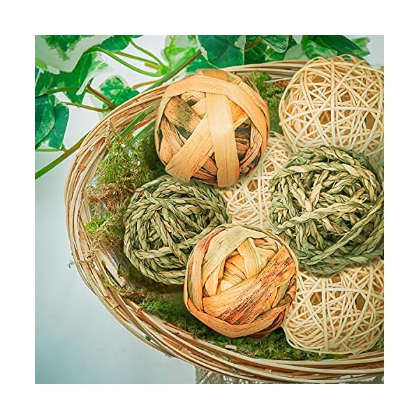 Episkey 9 Stück Kaninchen-Spielzeug, Kaninchen-Leckerlis, Meerschweinchen, Spielzeug für kleine Haustiere, Kaubälle, Grasbälle, natürliches Spielzeug für Kaninchen, Rennmäuse und Hamster (7,8 cm) – Bild 8
