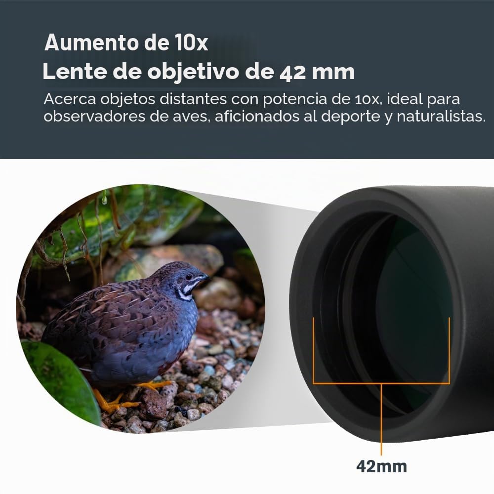 Celestron 71347 10 x 42 Outland X: prismáticos, negro
