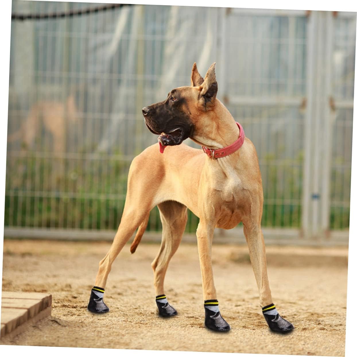 BESPORTBLE 4pcs Set Small Dog Shoes Paws Dog Boots Waterproof Socks Anti-slip Winter Shoes for Puppies 7 61BcOhTcihL. AC SL1244