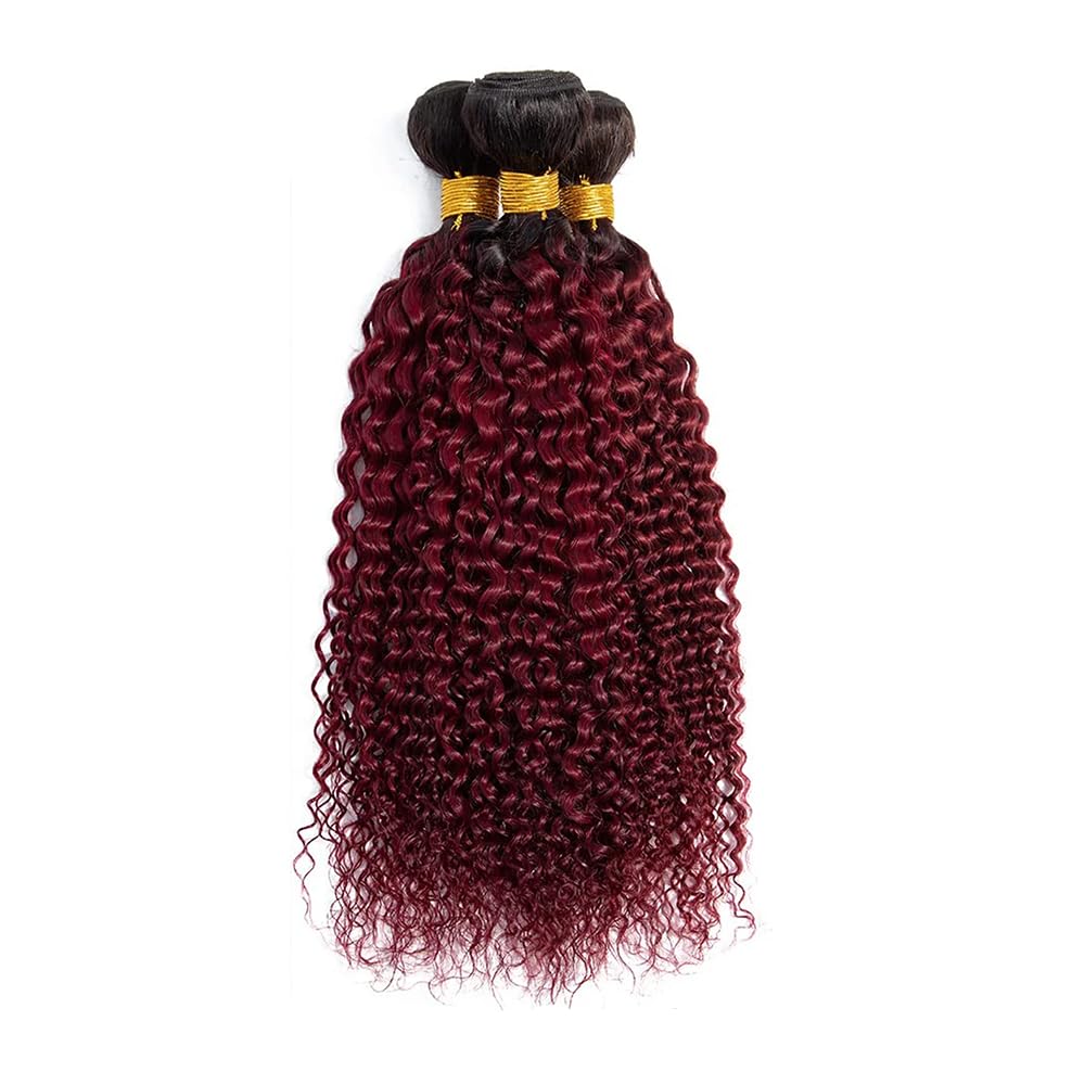 BilltiiWW 1B99J Bundles Curly Bundles Two Tone Black and Burgundy Curly Brazilian Hair Weave Soft and Silky for Women 8 10 12 Inch