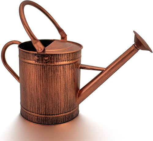 HORTICAN Regadera decorativa de metal de 1 galón con boquilla extraíble, regadera perfecta para plantas en interiores y exteriores, regadera de cobre