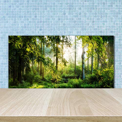 Dosseret en verre paysage vert forêt matin pour cuisine lumineuse et moderne - 2